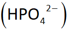 <p><span><strong>Phosphate buffer system</strong>: PHOSPHATE are the ions used PHOTO/ EQUATION</span></p><p></p>