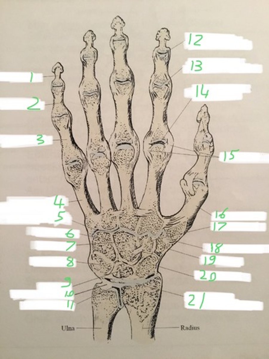 <p>15</p>