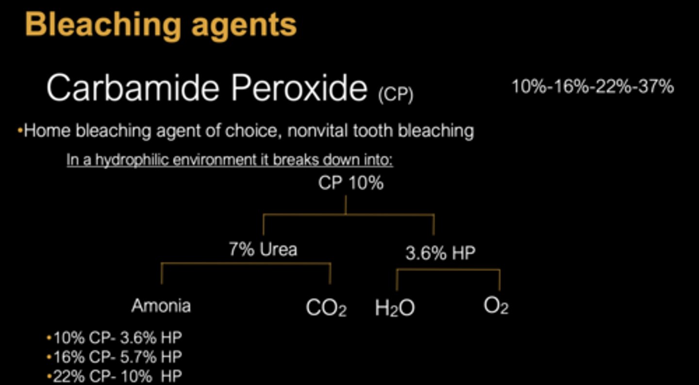 <p>- Ammonia</p><p>- Carbon dioxide</p><p>- Water</p><p>- Oxygen</p>