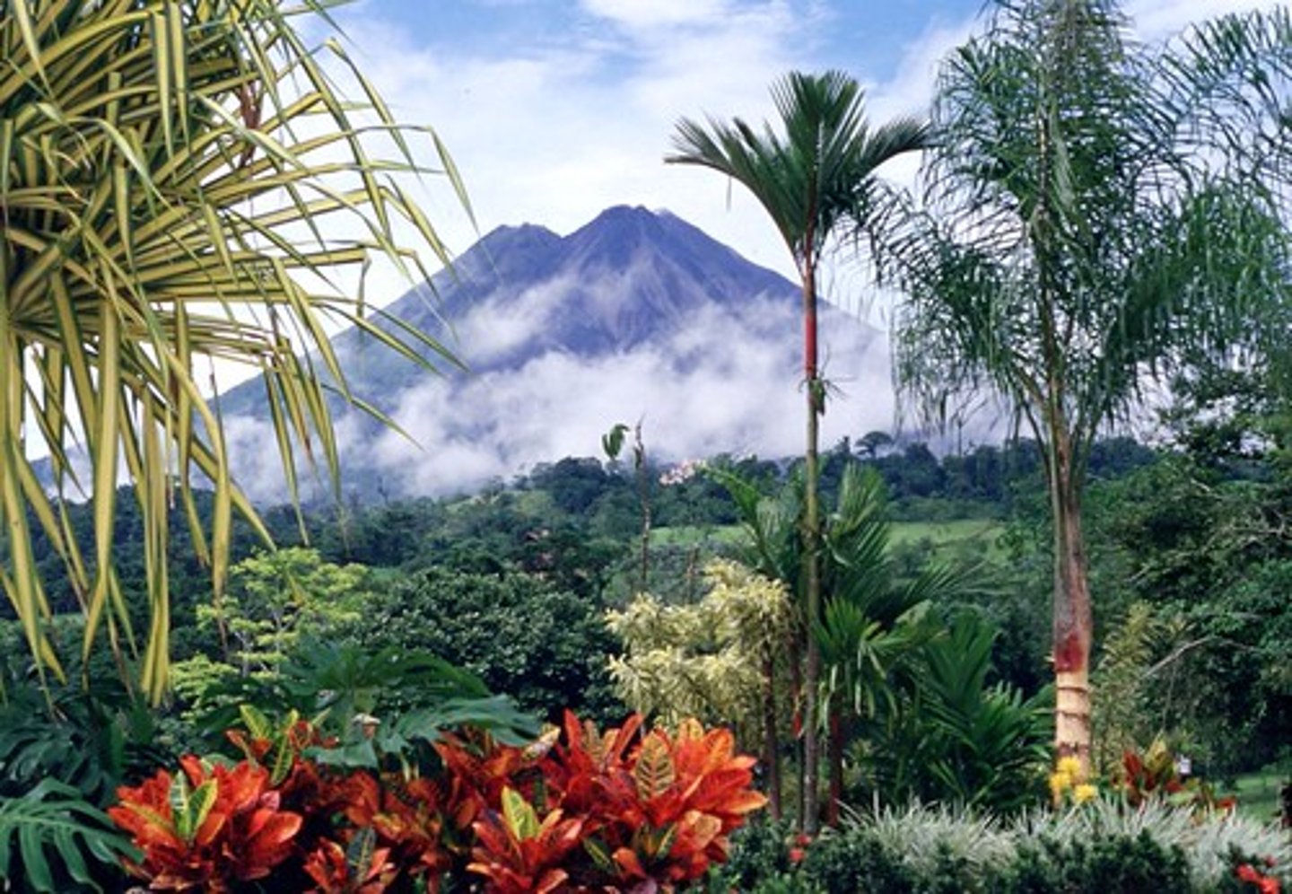 <p>San José</p>