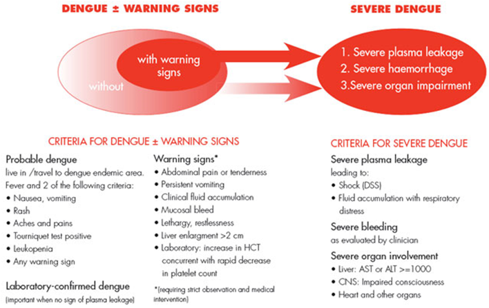 25% get sick

mild dengue = fever, N+V, rash, peri-orbital pain, aches

warning signs = severe abdominal pain, persistent vomiting, rapid breathing, fatigue, hepatomegaly, blood in vomit/stool, bleeding gums or nose

severe dengue = 3-7 days after onset
severe plasma leakage (shock + resp. distress)
severe bleeding/haemorrhage
severe organ involvement (liver, CNS, heart)