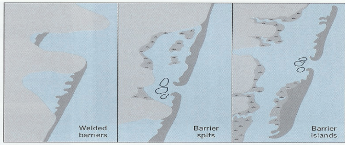 <p>Welded barriers, barrier spits, and barrier islands</p>