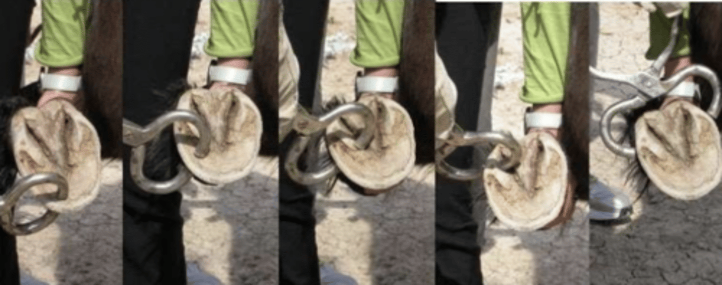 <p>what tool is being used ?</p>