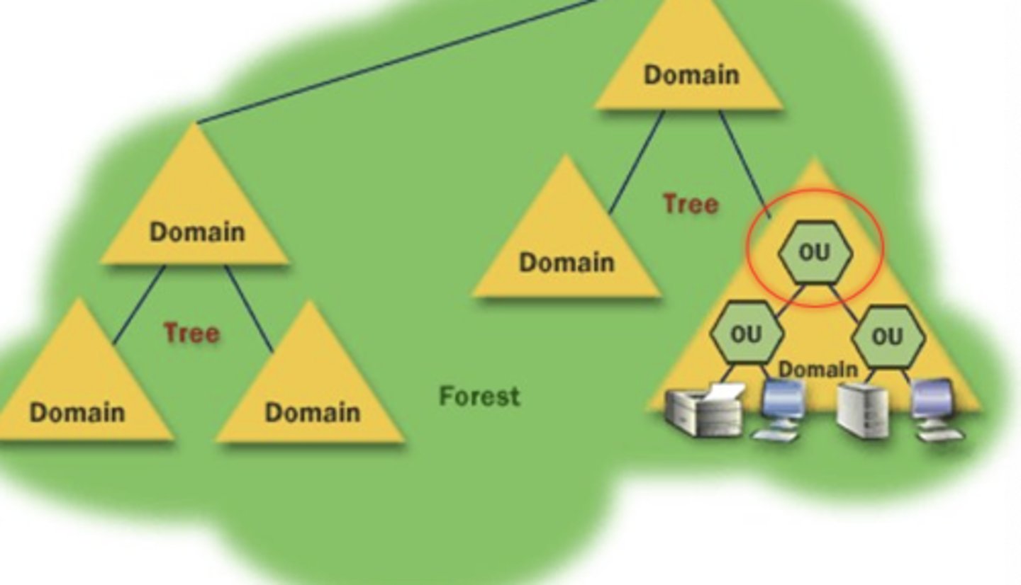 <p>A container within a domain where you can place users, groups, computers, etc.</p>