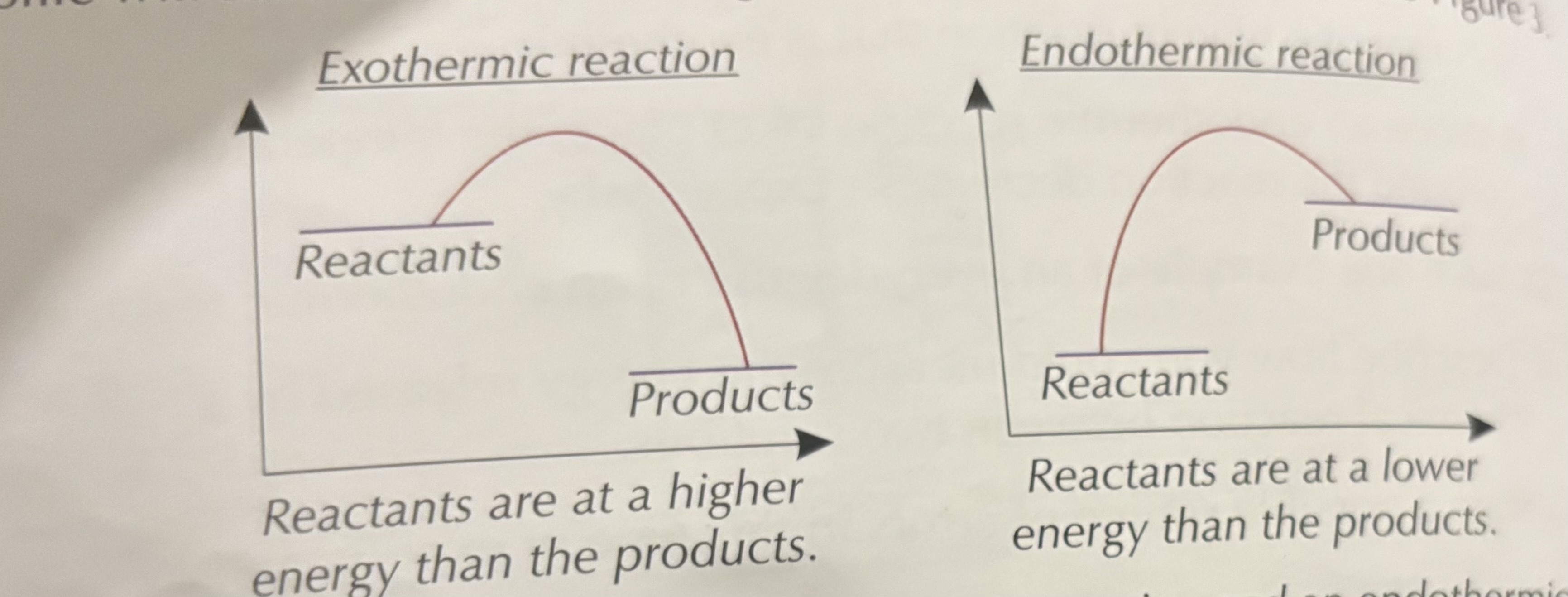 <p>Exothermic — energy is released to the surroundings.</p>