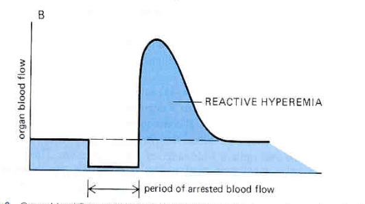 <p>Explain what this graph is showing. </p>