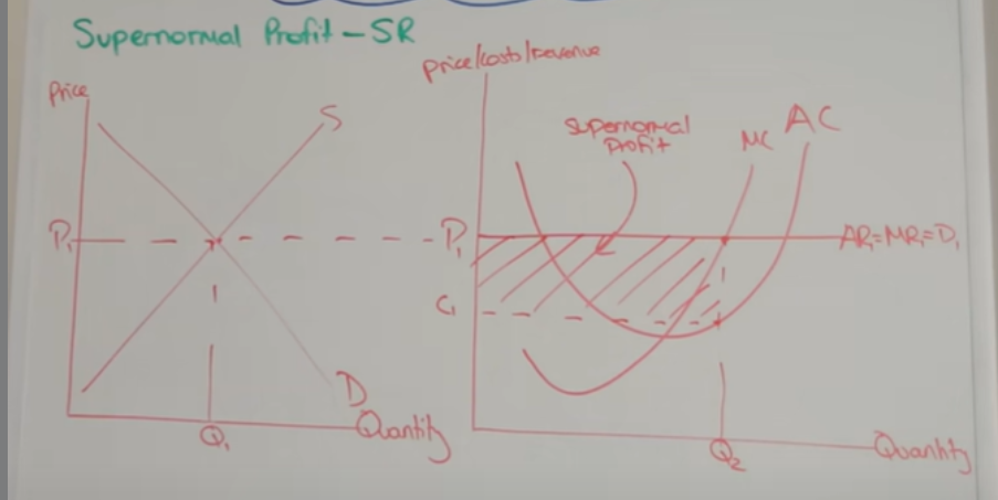 <p>What efficiencies are achieved short run perfect competition</p>