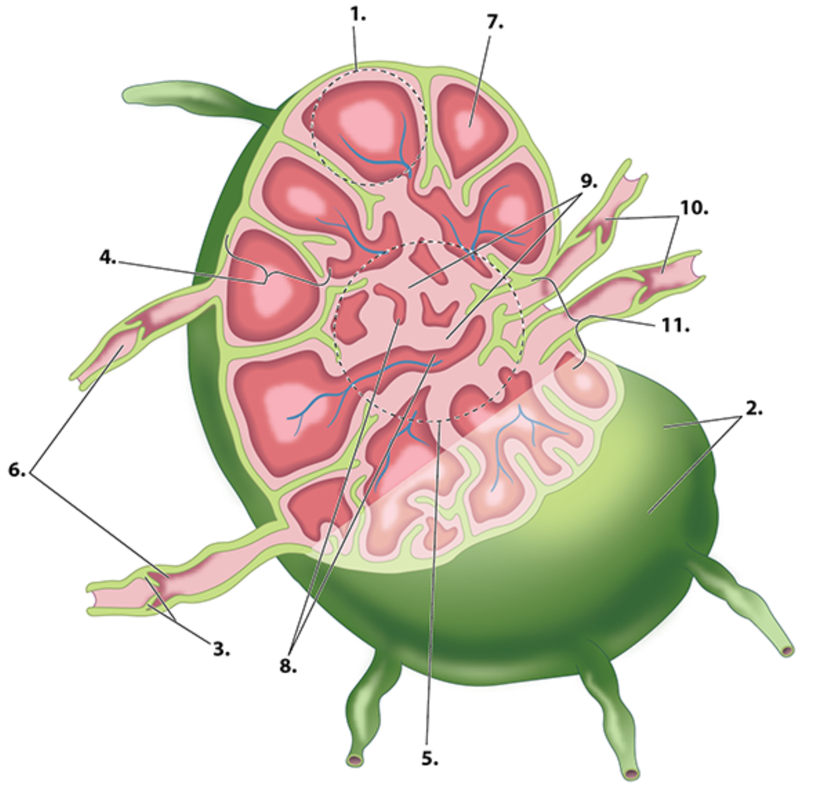 <p>2</p>