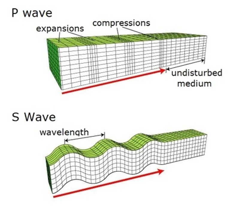 <p>S-waves (secondary waves)</p>