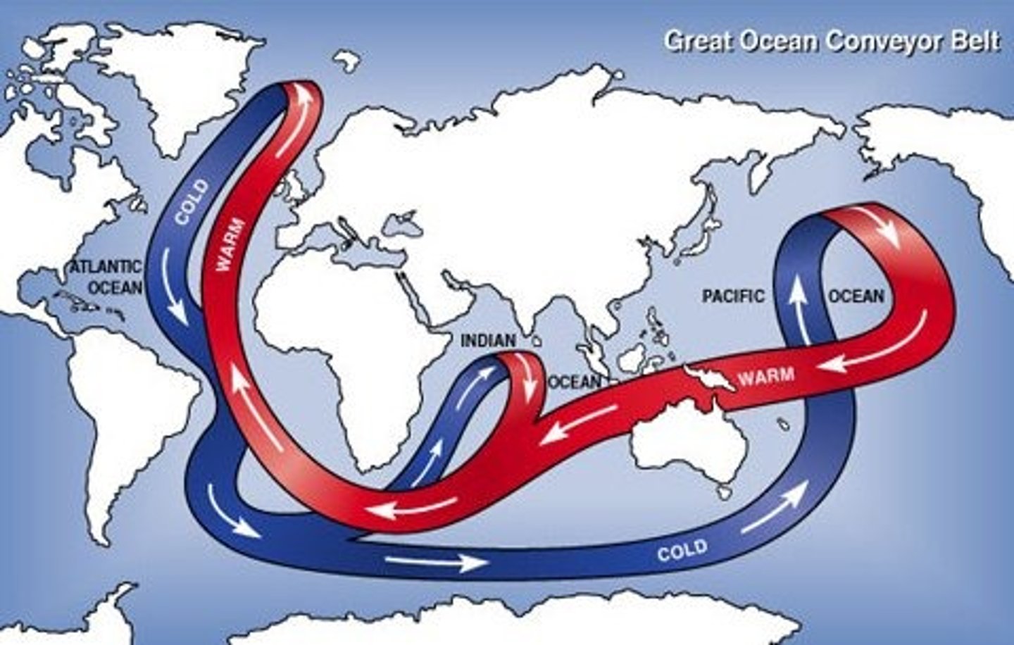 <p>Global ocean circulation driven by differences in temperature and salinity.</p>