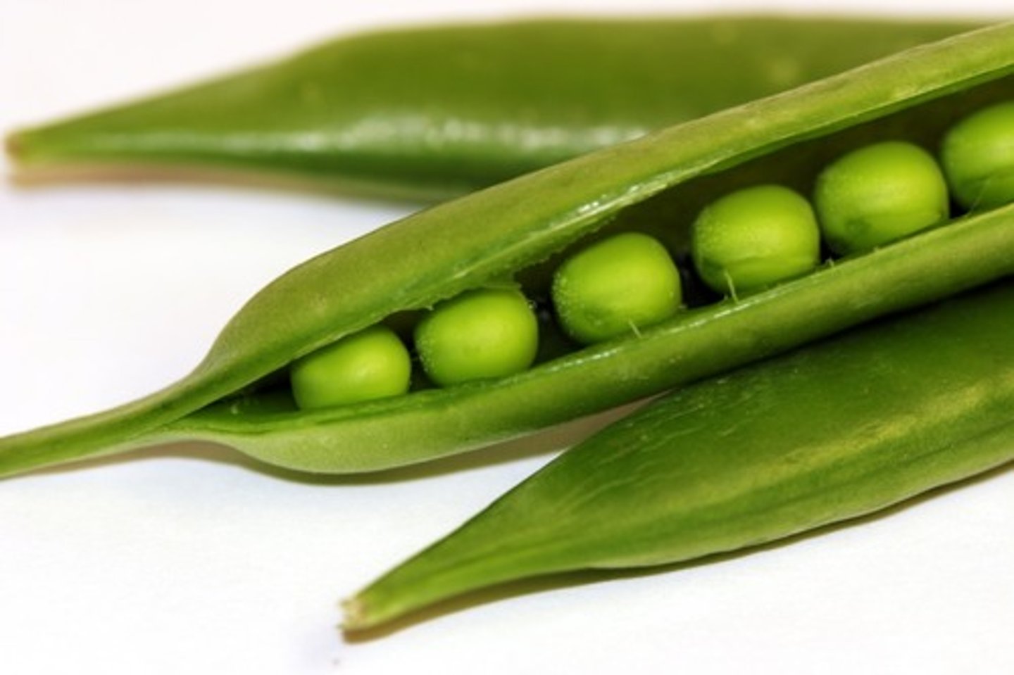 <p>(simple, dry, dehiscent)</p><p>developed from 1 carpel, splits along two lines of suture (e.g., peas, beans)</p>