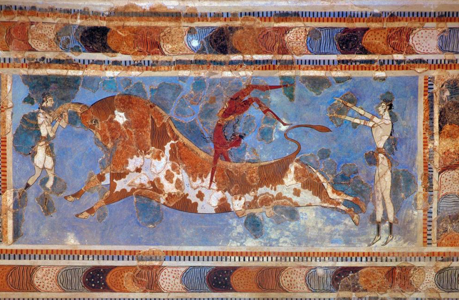 <p>Year and culture </p>