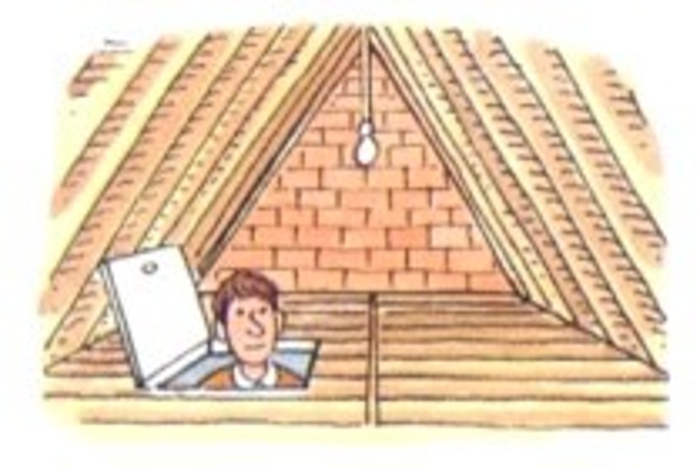 <p>attic</p>