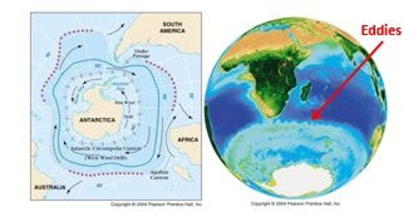 <p>The world's largest surface current, found near the convergence zone. It block warmer waters from travelling south. It is driven by westerly winds known as the 'West Wind Drift'.</p>