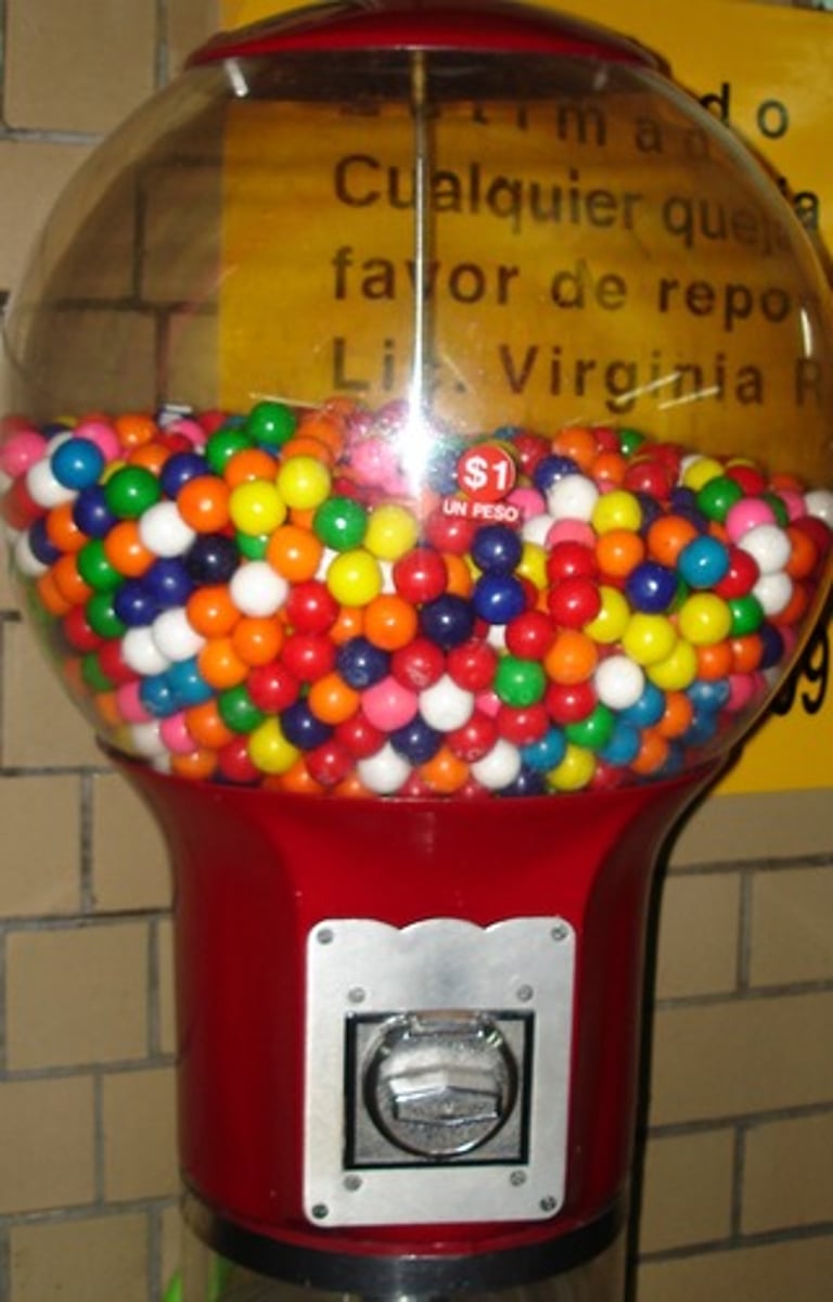 <p>gum</p>