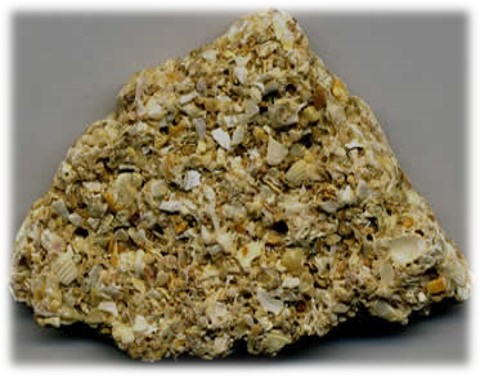 <p><span style="font-size: 12.8px; font-family: lato, sans-serif">biochemical rock composed of shell fragments, reacts with acid</span></p>