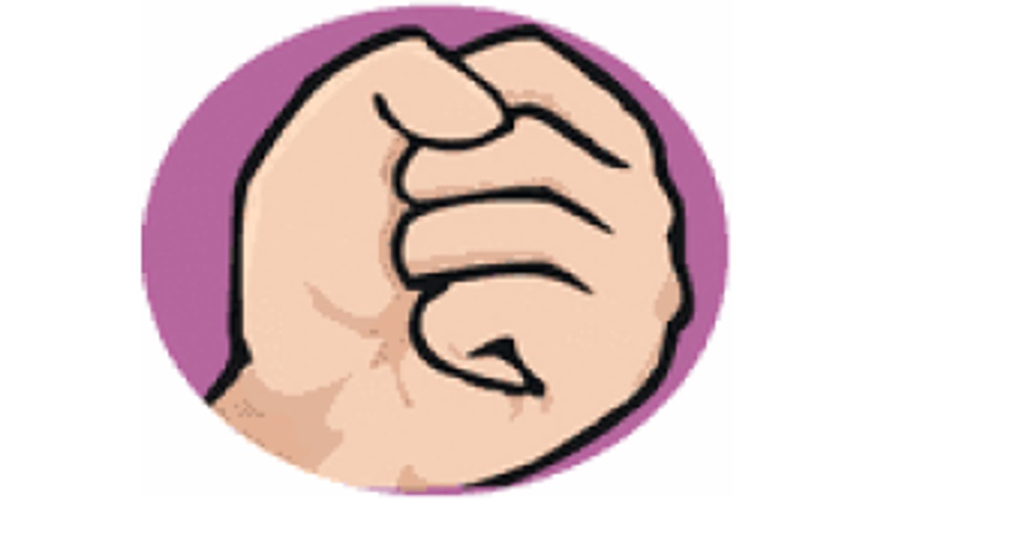 <p>meld-like weld: Social Reconstructionsim</p>