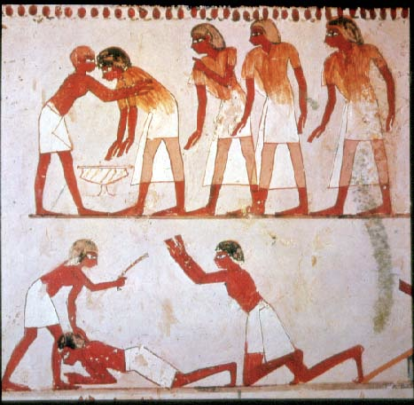 term image