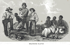 land allocation approach that provided the head of a family up to 200 acres of free land in the Georgia frontier.