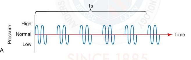 <p>Pulse Repetition ___</p>