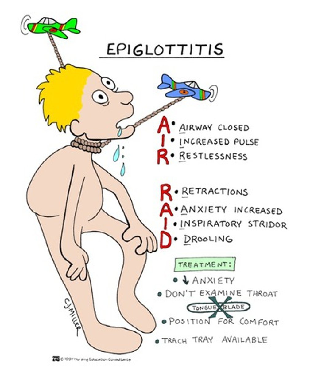 <p>inflammation of the epiglottis</p><p>- inspiratory stridor</p><p>- drooling</p><p>- tripod positioning (hunched over, hands on knees)</p><p>- most often caused by H. influenza type 3 (HIB)</p><p>treatment</p><p>- intubate</p><p>- bedside trach kit</p>