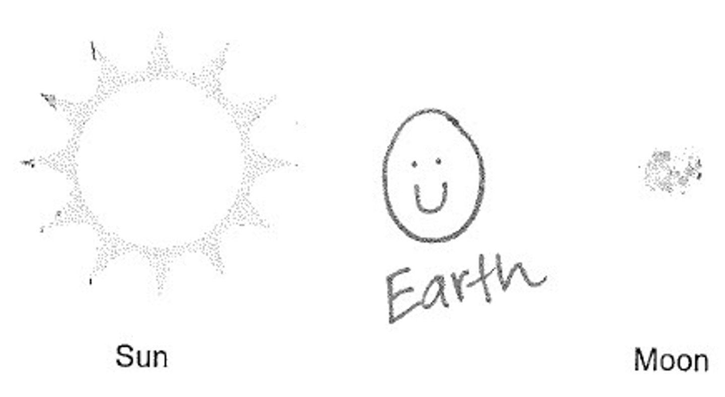 <p>an object or diagram that helps us understand something by making it simpler or easier to see</p>