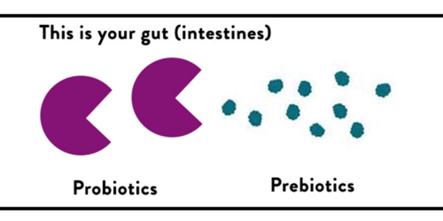 <p>non-digestible food additives used to promote growth of good bacteria</p>