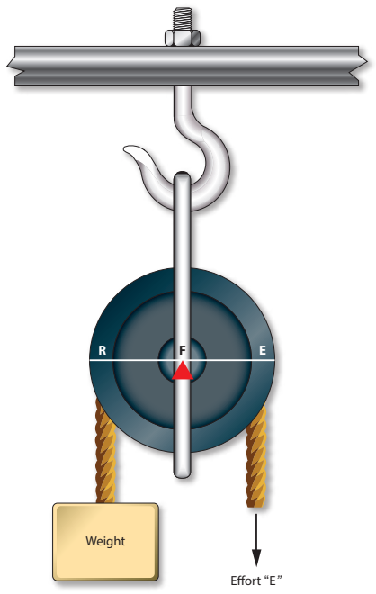 <p>When a first class lever has equal arms, the mechanical advantage is 1, thus, the force of the pull on the rope must be?</p>