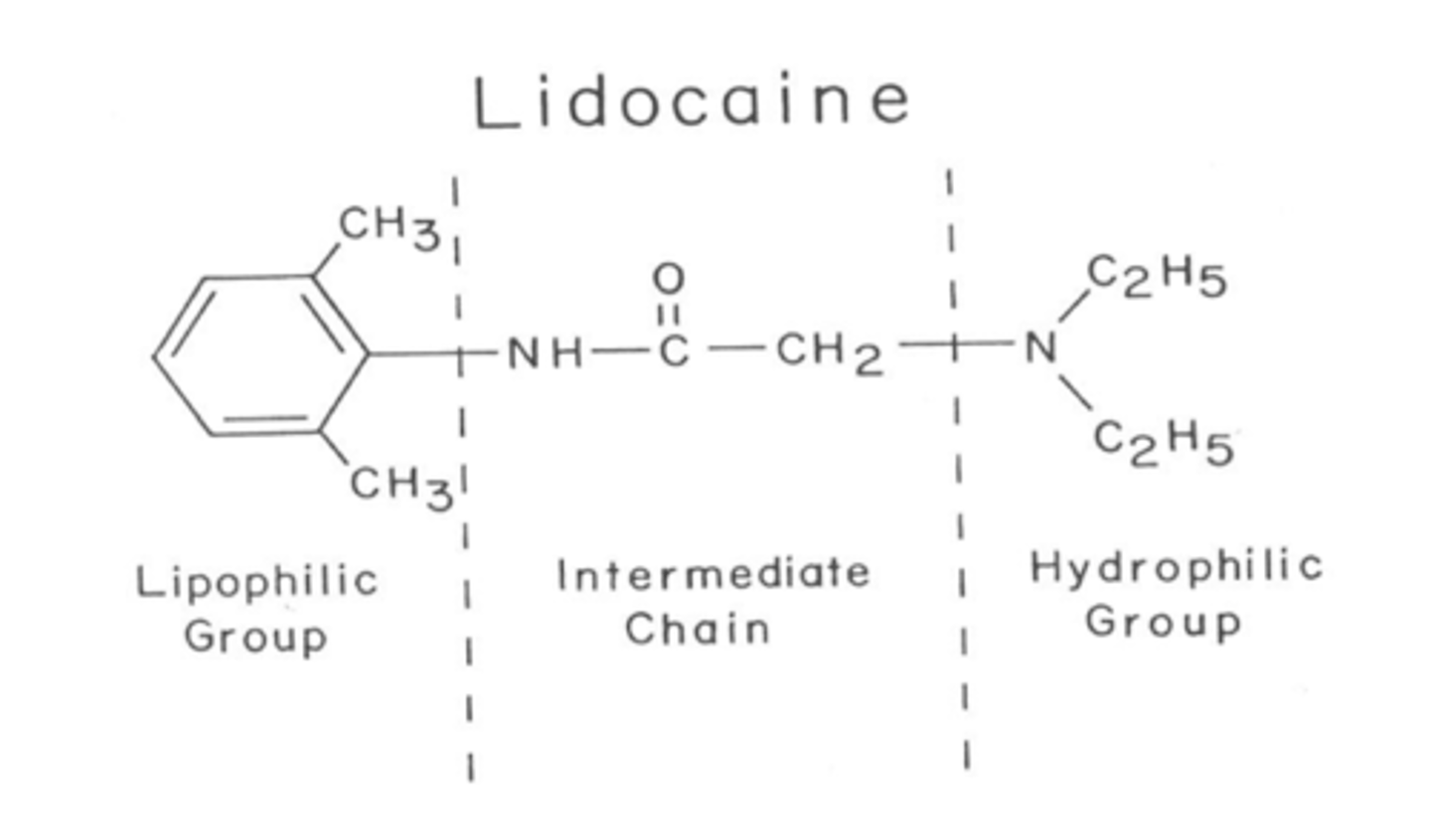 <p>"-caine" drugs: lidocaine, procaine, bupivicaine, etc.</p>