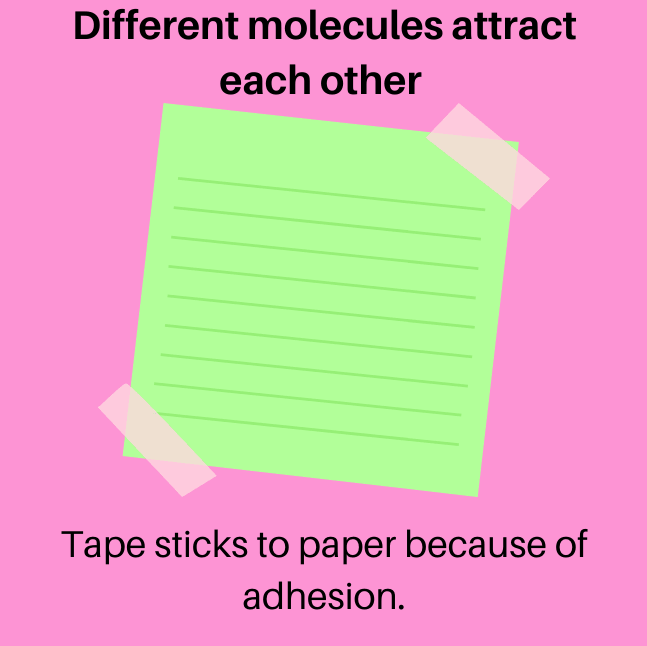 <p>tendency to stick to other substances (caused by H<sub>2</sub>O’s polar and hydrogen bonding)</p>