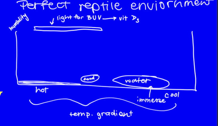 <ul><li><p>sanitation - bacteria - salmonella </p></li></ul><p></p>