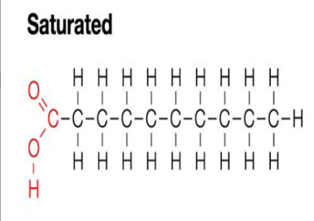 <p>Saturated Fatty Acid</p>