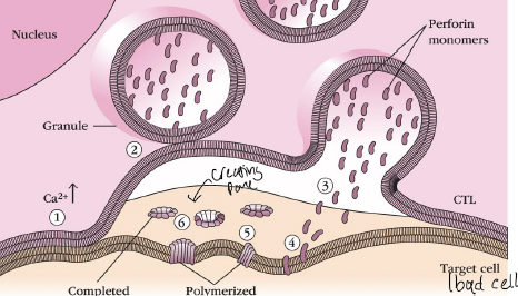 <p>What is the 2 in the picture </p>