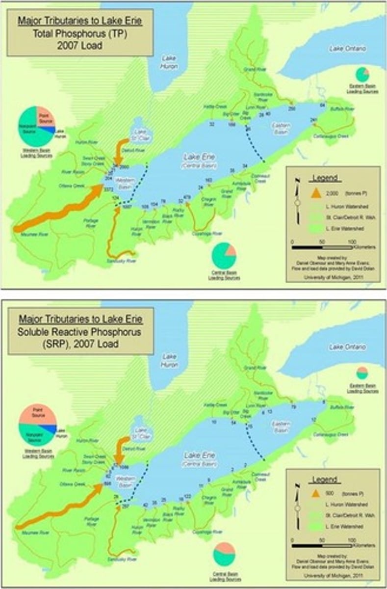 <p>Agricultural runoff containing nitrogen and phosphorus contributes significantly to the formation of dead zones.</p>