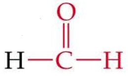 <p>ID this structure by its common name</p>