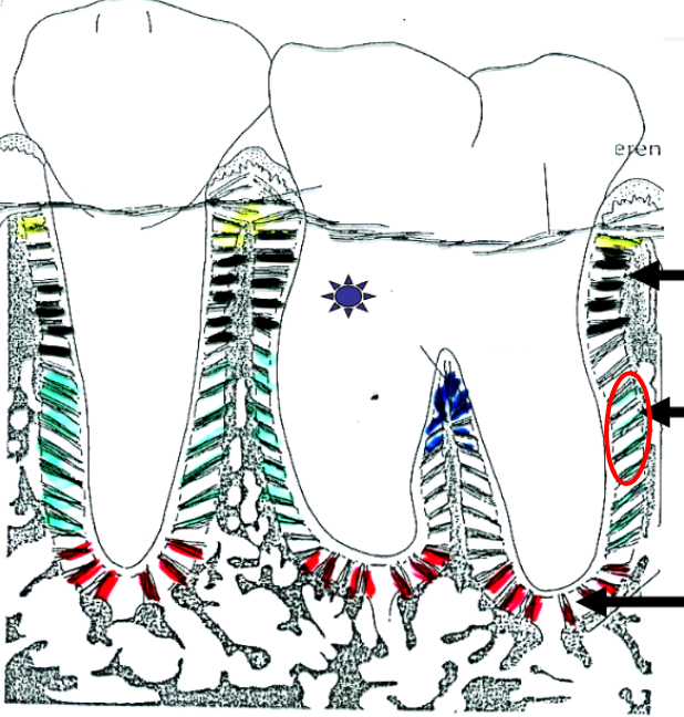 <p>What is this?</p>