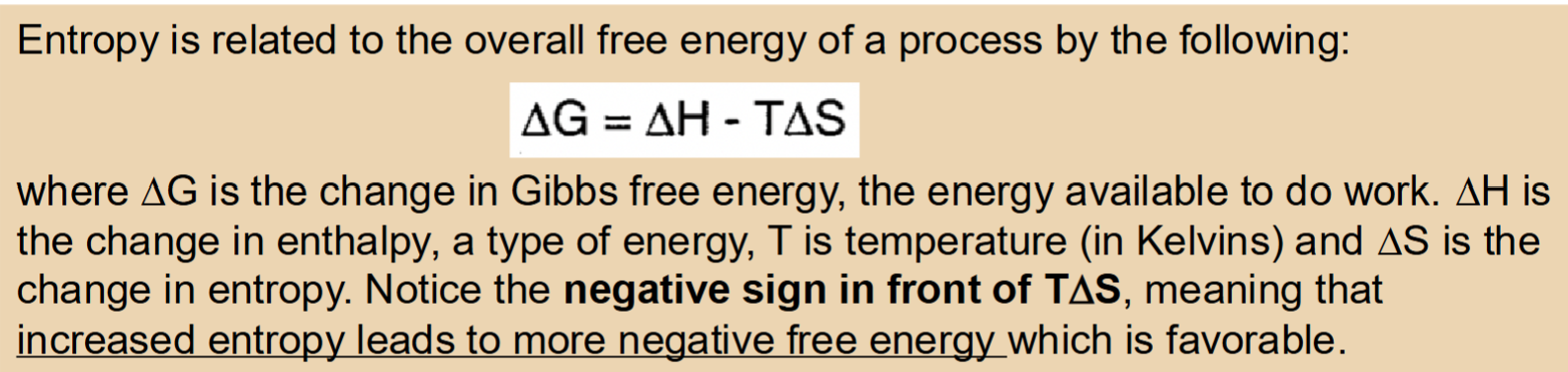 <p>Entropy is increased when the system has more possible configurations or microstates </p><p>Examples: </p><ul><li><p>Molecules with translational freedom have greater entropy than those that are ordered or in bound arrangements where movement is restricted (Molecules in crystal vs solution) </p></li><li><p>Molecules with greater freedom of rotation have greater entropy than those that are rigidified in rings </p></li><li><p>For a spontaneous process, change in G &lt; 0 </p><ul><li><p>According to the second law of thermodynamics the total entropy is always increasing </p></li></ul></li></ul><p></p>