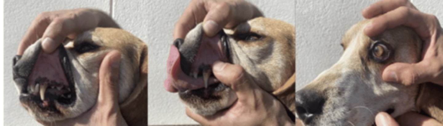 <p>what is happening here ?</p>