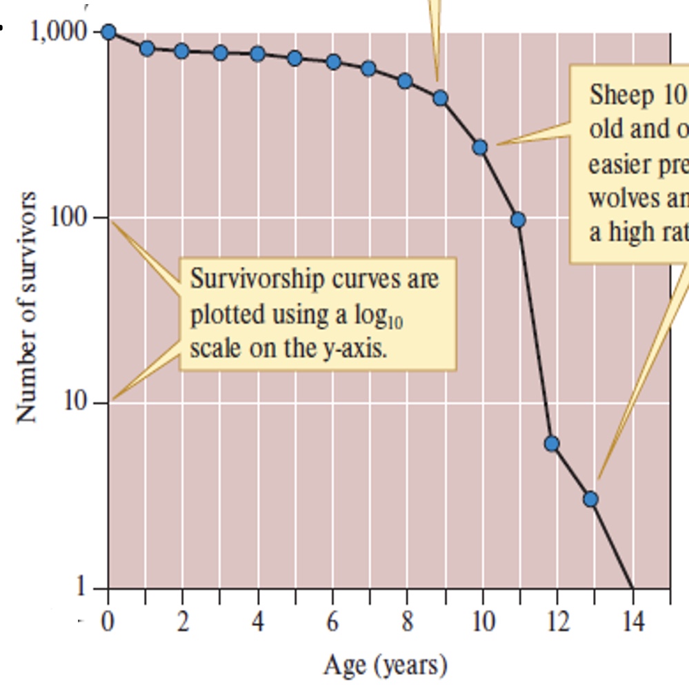 <p>What kind of survivorship curve is this?</p>
