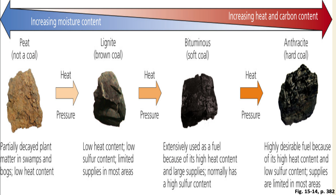 Stages in Coal Formation over Millions of Years