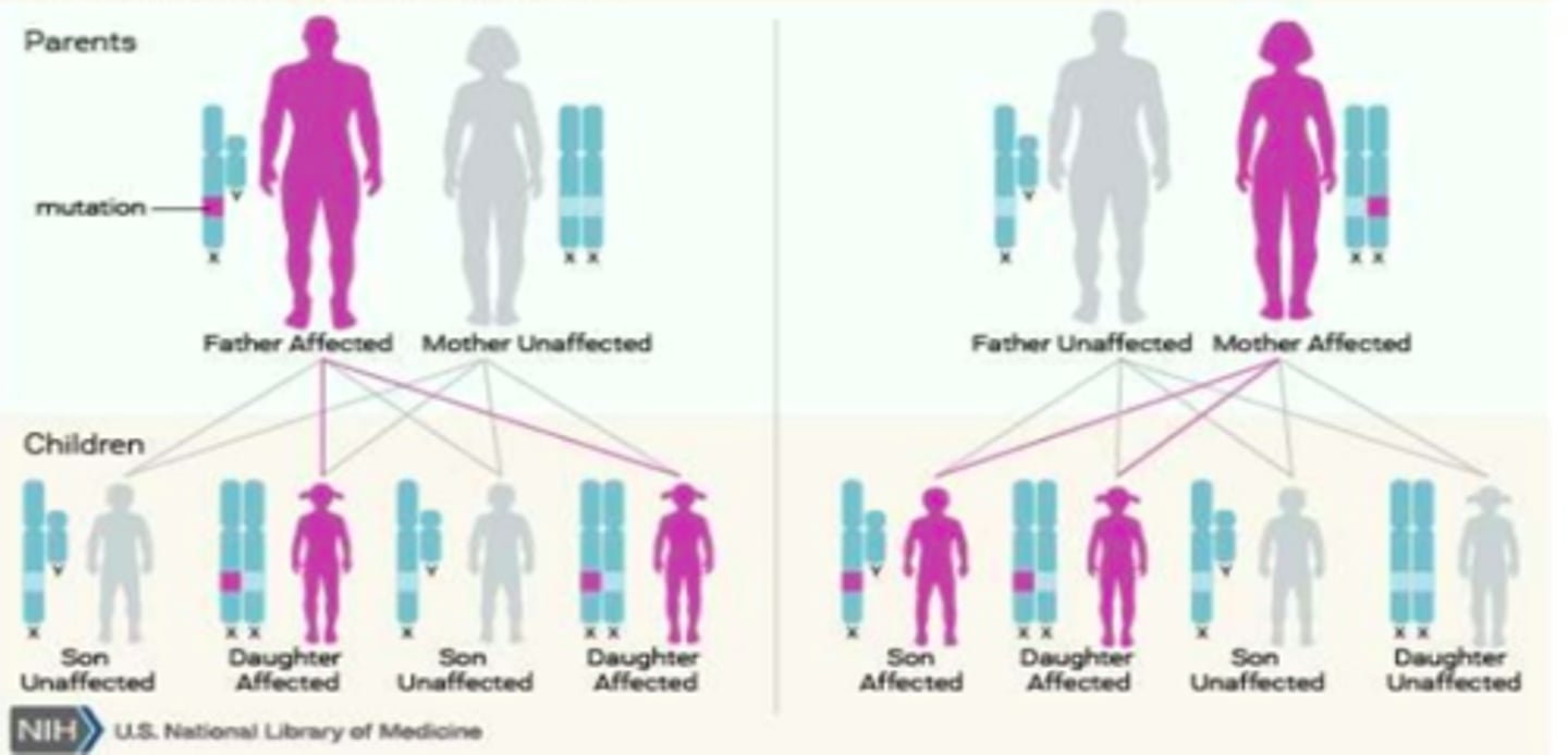 <p>-if dad is affected and mom is not, the only way the x-linked gene is being passed on from dad is if he has daughters (if dominant, daughters will be affected)</p><p>-if mom is affected and dad is not, there is a 25% chance of son being affected, 25% chance of daughter being affected, and 50% chance neither is affected</p>