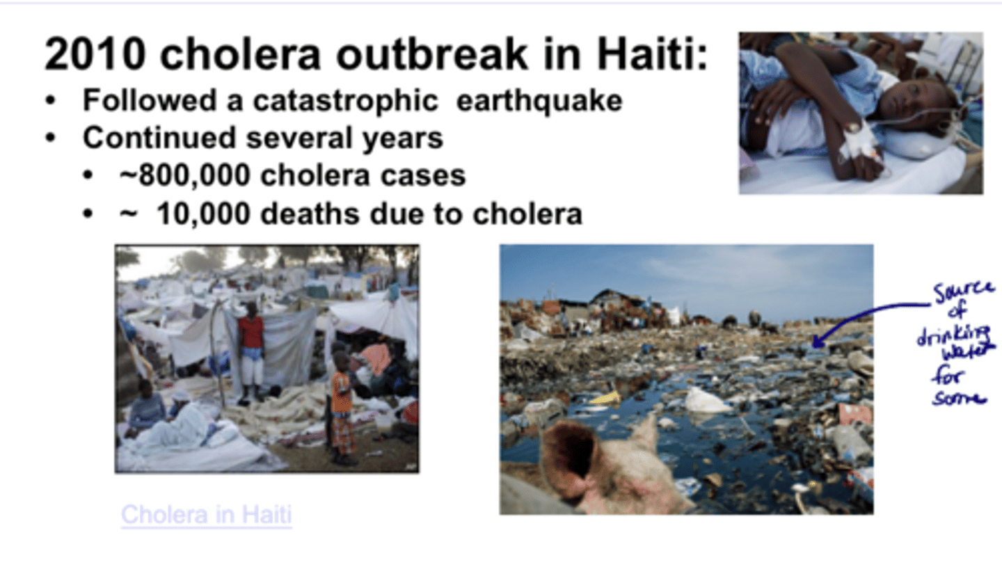<p>Haiti 2010<br><br>... cramped, unhygienic, 10,000 deaths in cholera epidemic</p>