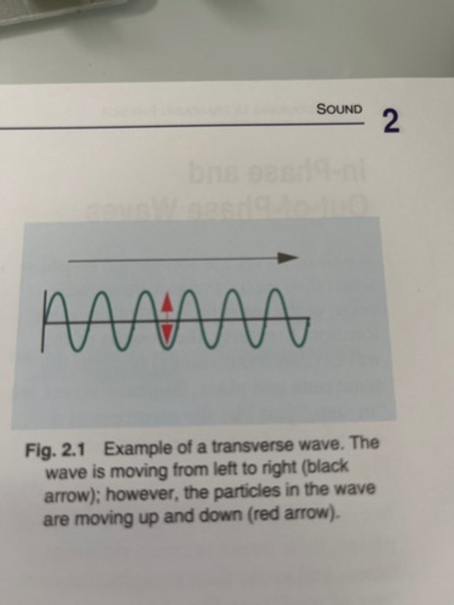 <p>perpendicular to direction the wave propagates</p>