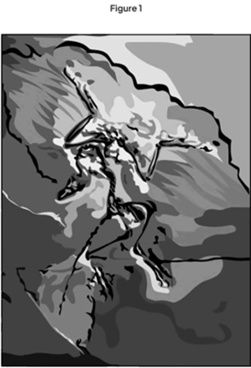 <p>This fossil was formed by:<br>Any two from the following:<br>The Archaeopteryx (dies) buried in sediment / sand / mud (not rocks); <br>(Only) the soft parts decayed / eaten or the hard parts / bones did not decay or were not eaten; <br>Mineralisation occurred / bones turned to stone / imprinted (in the sediment).</p>