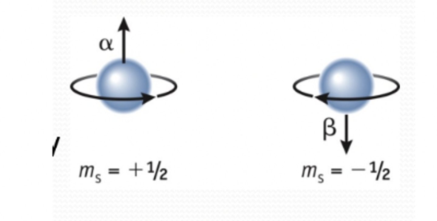 <p>indicates the spin of the electron (either 1/2 [↑] or -1/2 [↓])</p>