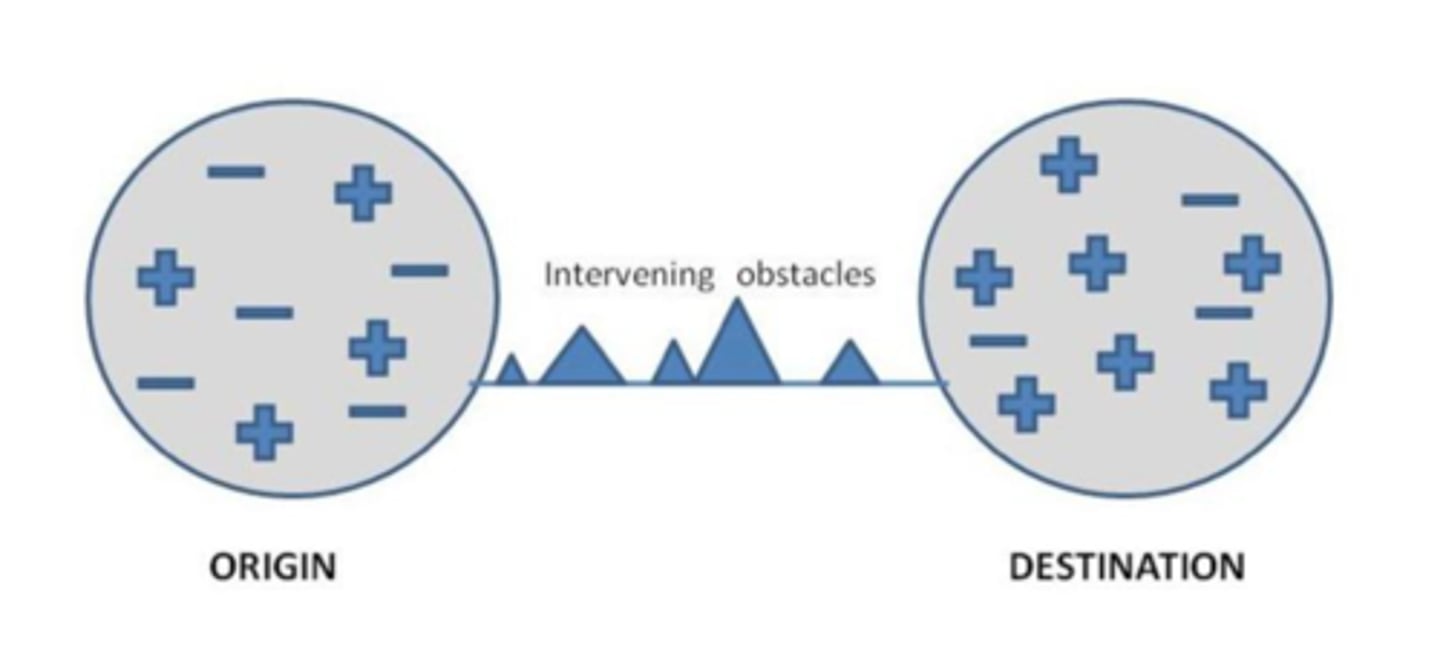 <p>The model representing migration decision due to push factors, pull factors, intervening obstacles, and intervening opportunities.</p>