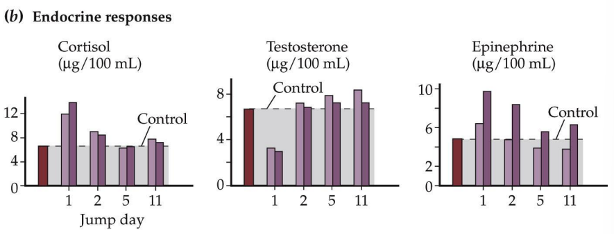 <p>cortisol and epi go down, testosterone goes up</p><p>“each time we face our fear, we gain strength, courage, and confidence.”</p>