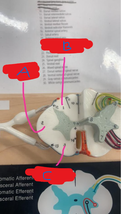 <p>What is C?</p>