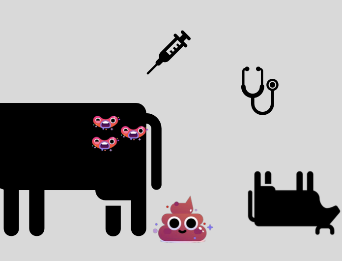 <p>stillbirth</p><p>twinning</p><p>retained placenta</p><p>c-section</p>