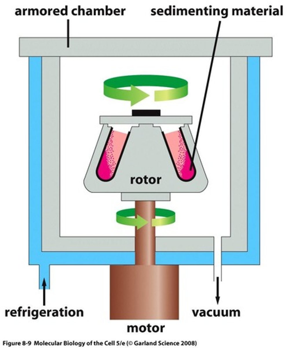 <p>Separates based on density through sedimentation of objects in a solvent, and is time dependent.</p>